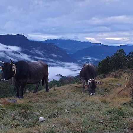 Precioso Apartamento En El Pirineo Catalan La Pobla de Lillet Eksteriør bilde