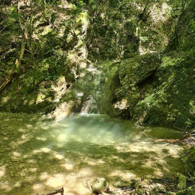 Precioso Apartamento En El Pirineo Catalan La Pobla de Lillet Eksteriør bilde